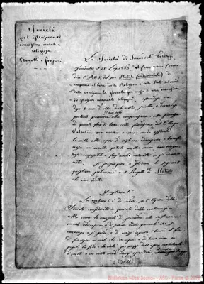 Fotogramma C 11
