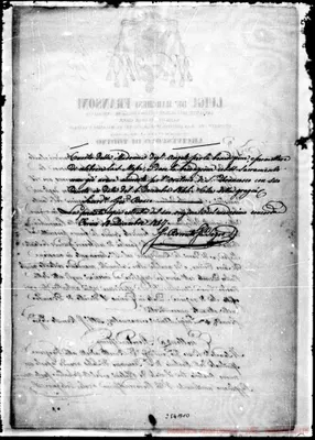 Fotogramma A 10