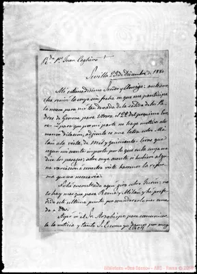 Fotogramma C 11