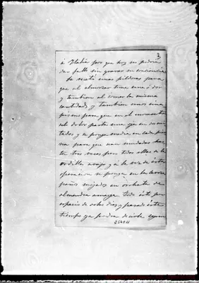 Fotogramma D 11