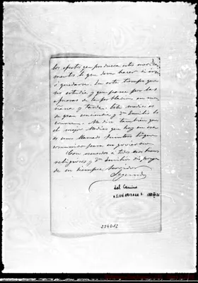 Fotogramma D 12