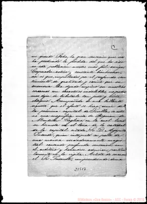 Fotogramma C 7