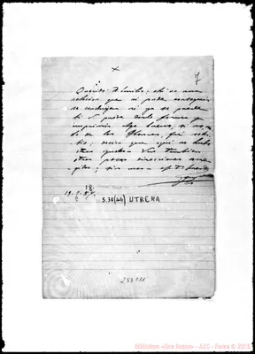 Fotogramma C 11