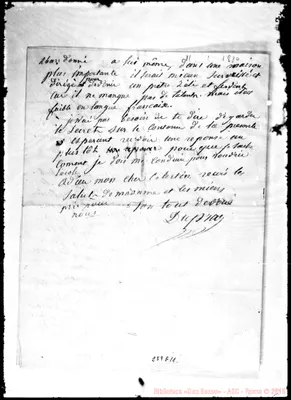 Fotogramma E 11