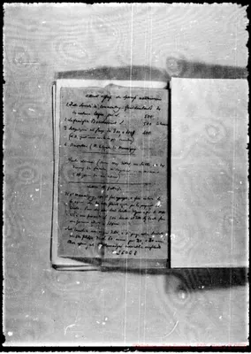 Fotogramma C 8