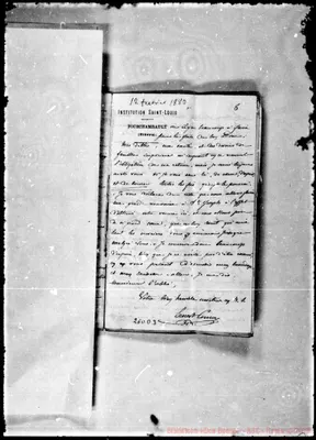 Fotogramma D 3