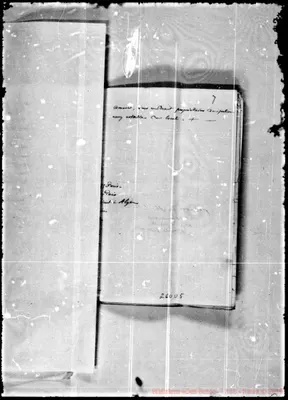 Fotogramma D 5