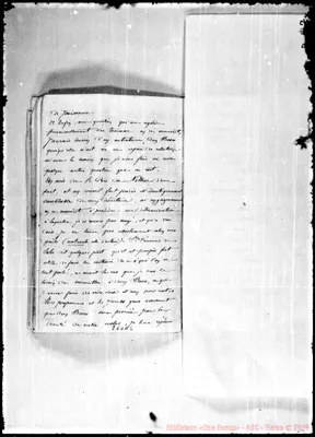 Fotogramma E 6
