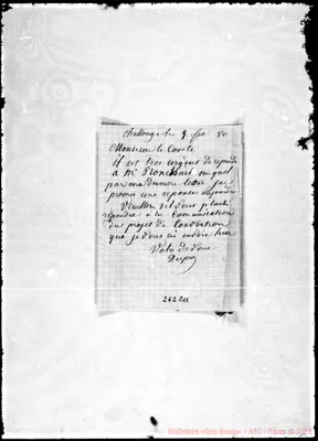 Fotogramma C 11