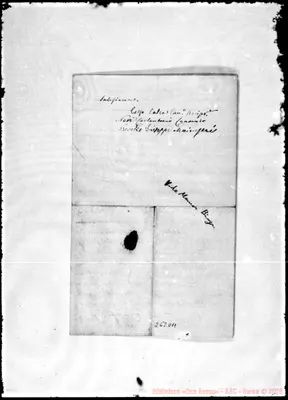 Fotogramma D 11