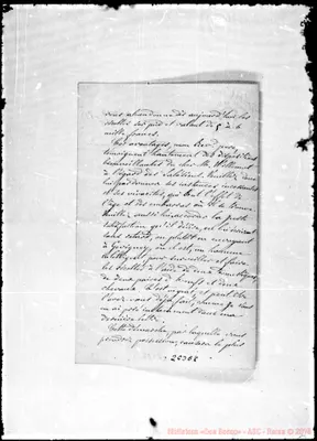 Fotogramma E 8