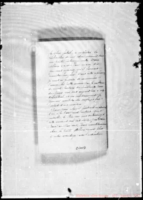 Fotogramma C 7
