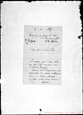 Fotogramma D 10