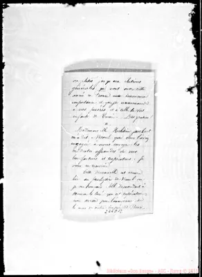 Fotogramma D 12