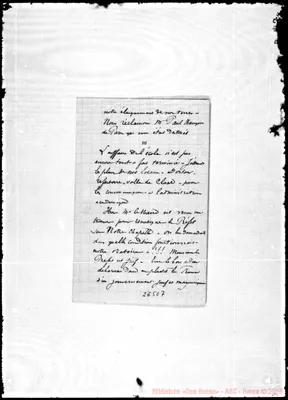 Fotogramma C 7