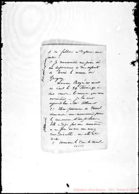Fotogramma D 1