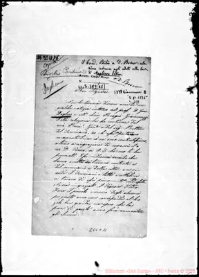 Fotogramma C 11