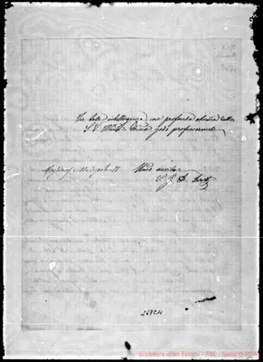 Fotogramma C 11