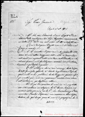 Fotogramma C 12