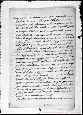 Fotogramma B 2