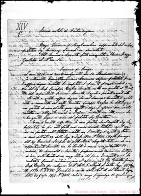 Fotogramma C 11