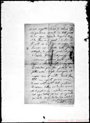Fotogramma C 11