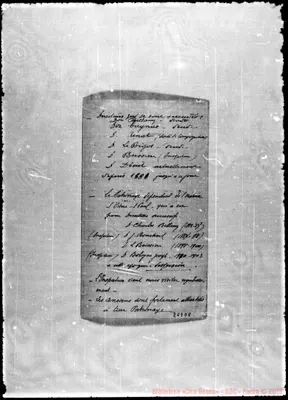 Fotogramma D 8