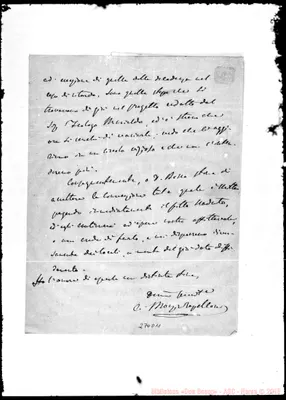 Fotogramma D 11