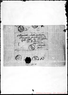 Fotogramma D 8