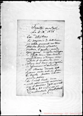 Fotogramma C 7