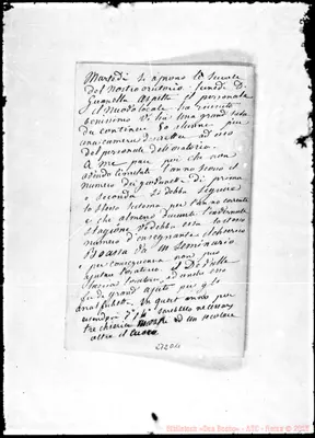Fotogramma D 11