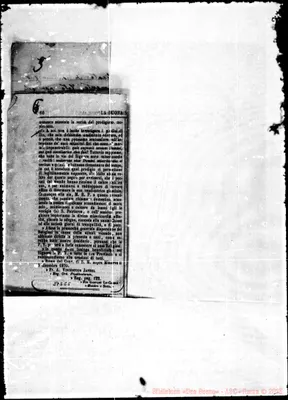 Fotogramma C 5