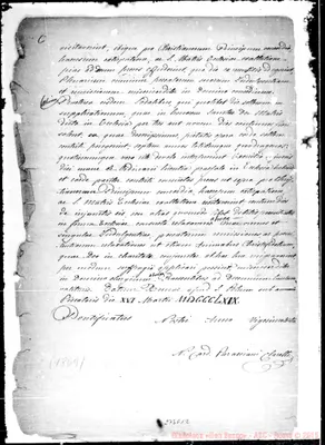 Fotogramma E 12