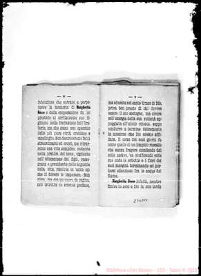 Fotogramma E 10