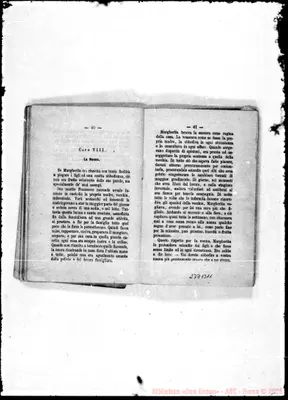 Fotogramma B 11