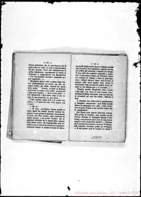 Fotogramma C 1