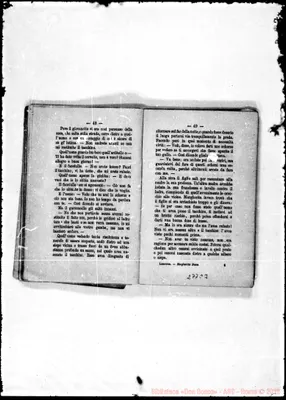 Fotogramma C 3