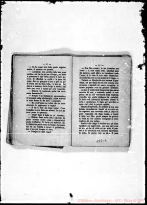 Fotogramma C 4