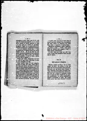 Fotogramma C 5