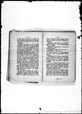 Fotogramma C 6