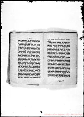 Fotogramma C 7