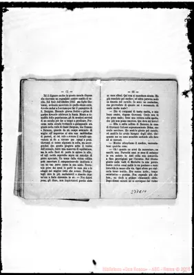 Fotogramma C 10
