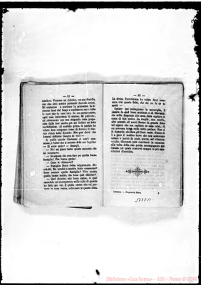 Fotogramma C 11