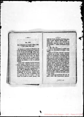 Fotogramma C 12