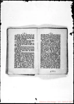 Fotogramma D 3