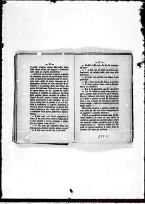 Fotogramma D 5