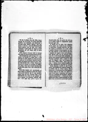 Fotogramma D 6