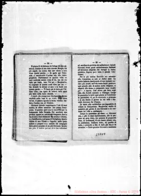 Fotogramma D 9