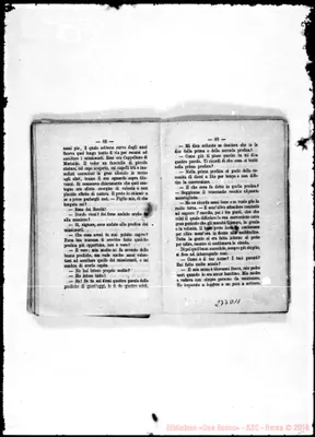 Fotogramma D 11