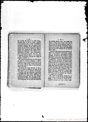 Fotogramma E 5